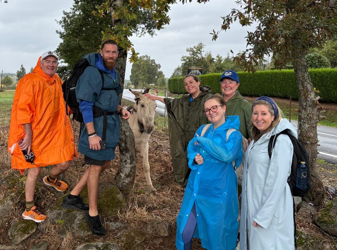 WhatsApp Image 2025-10-20 at 07.46.05_41c90bd8